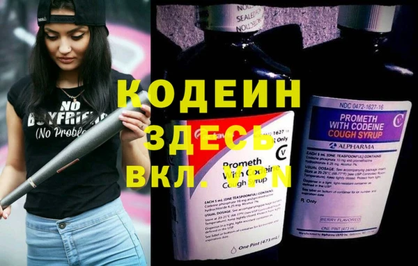 прущие крисы Елизово