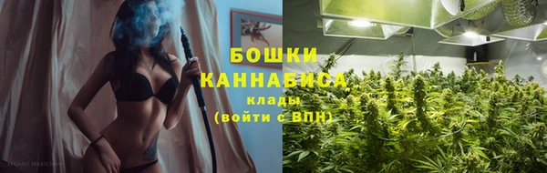 прущие крисы Елизово